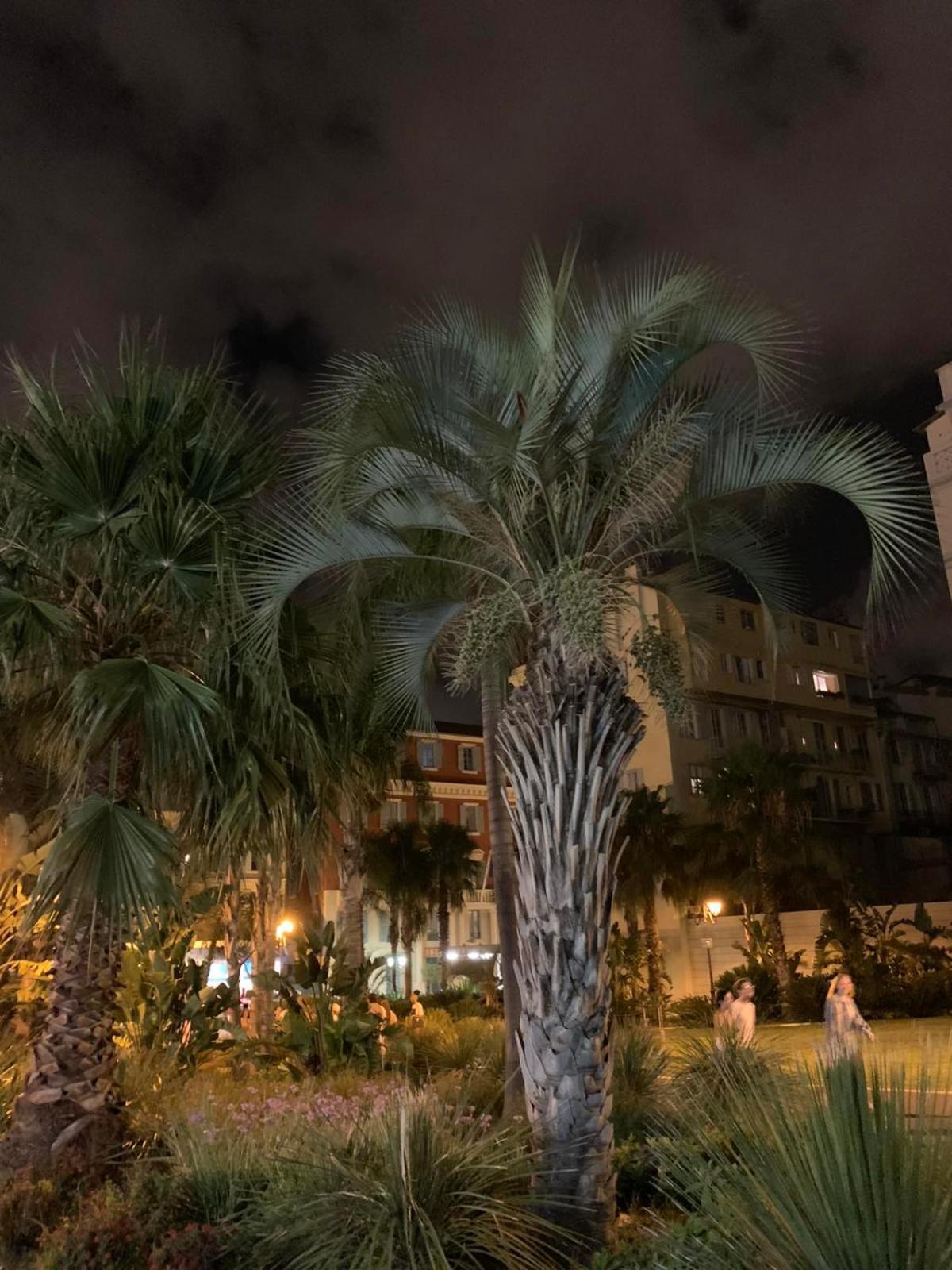 Apartment 33 On The Old Historic Senate Square Nice Bagian luar foto